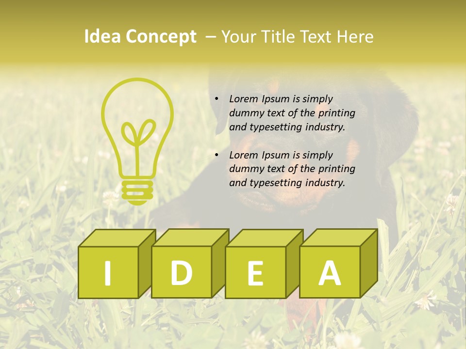 Portrait Of A Young Puppy Purebred Rottweiler In A Garden PowerPoint Template