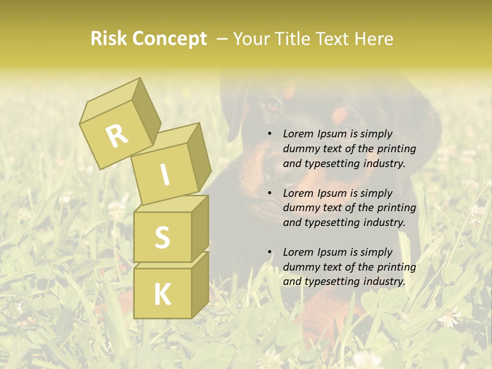 Portrait Of A Young Puppy Purebred Rottweiler In A Garden PowerPoint Template