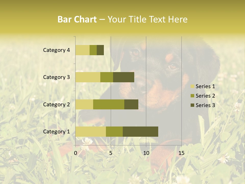 Portrait Of A Young Puppy Purebred Rottweiler In A Garden PowerPoint Template