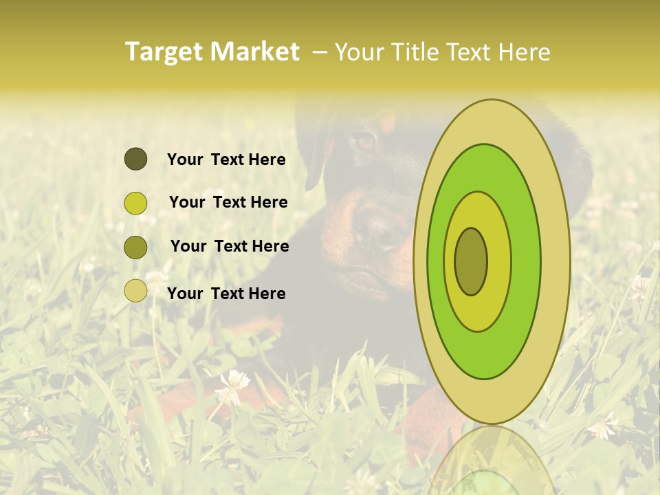 Portrait Of A Young Puppy Purebred Rottweiler In A Garden PowerPoint Template