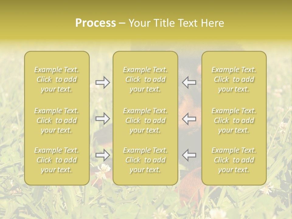 Portrait Of A Young Puppy Purebred Rottweiler In A Garden PowerPoint Template
