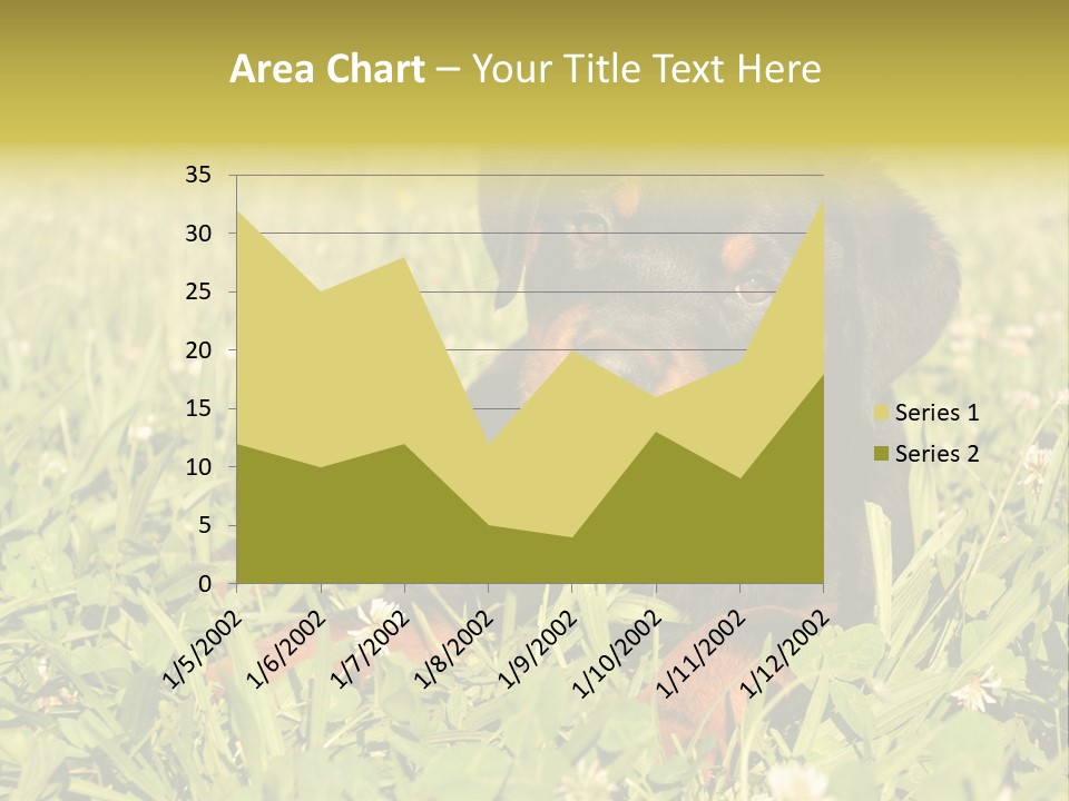 Portrait Of A Young Puppy Purebred Rottweiler In A Garden PowerPoint Template