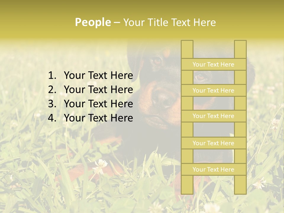 Portrait Of A Young Puppy Purebred Rottweiler In A Garden PowerPoint Template