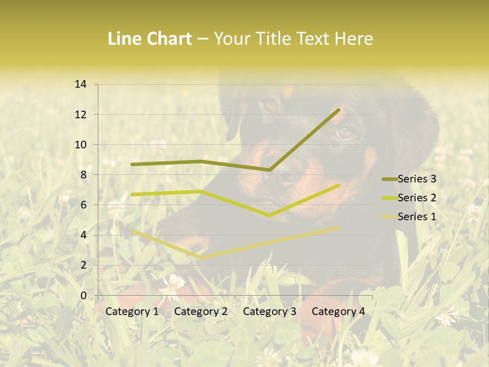 Portrait Of A Young Puppy Purebred Rottweiler In A Garden PowerPoint Template