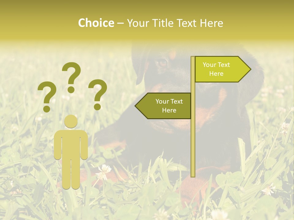 Portrait Of A Young Puppy Purebred Rottweiler In A Garden PowerPoint Template