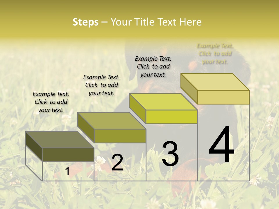 Portrait Of A Young Puppy Purebred Rottweiler In A Garden PowerPoint Template