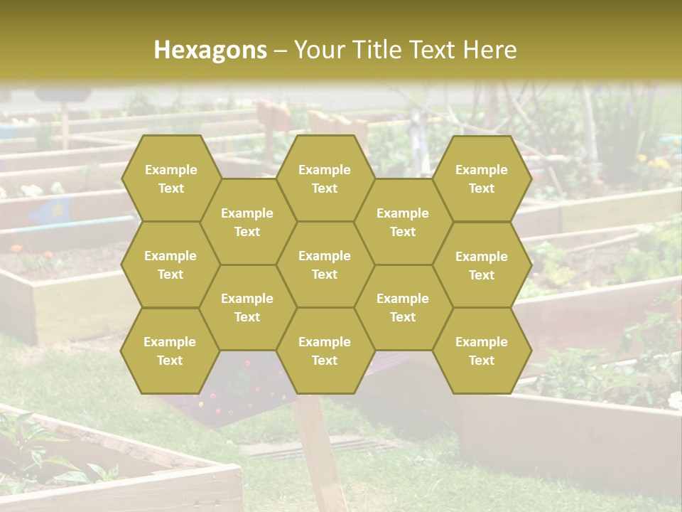 A Picture Of A Garden With A Sign In The Middle Of It PowerPoint Template
