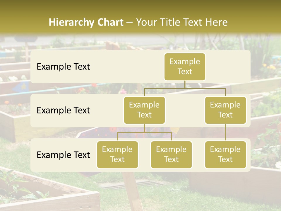 A Picture Of A Garden With A Sign In The Middle Of It PowerPoint Template