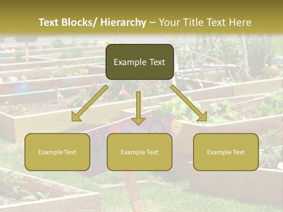 A Picture Of A Garden With A Sign In The Middle Of It PowerPoint Template