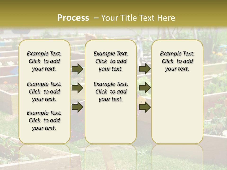 A Picture Of A Garden With A Sign In The Middle Of It PowerPoint Template