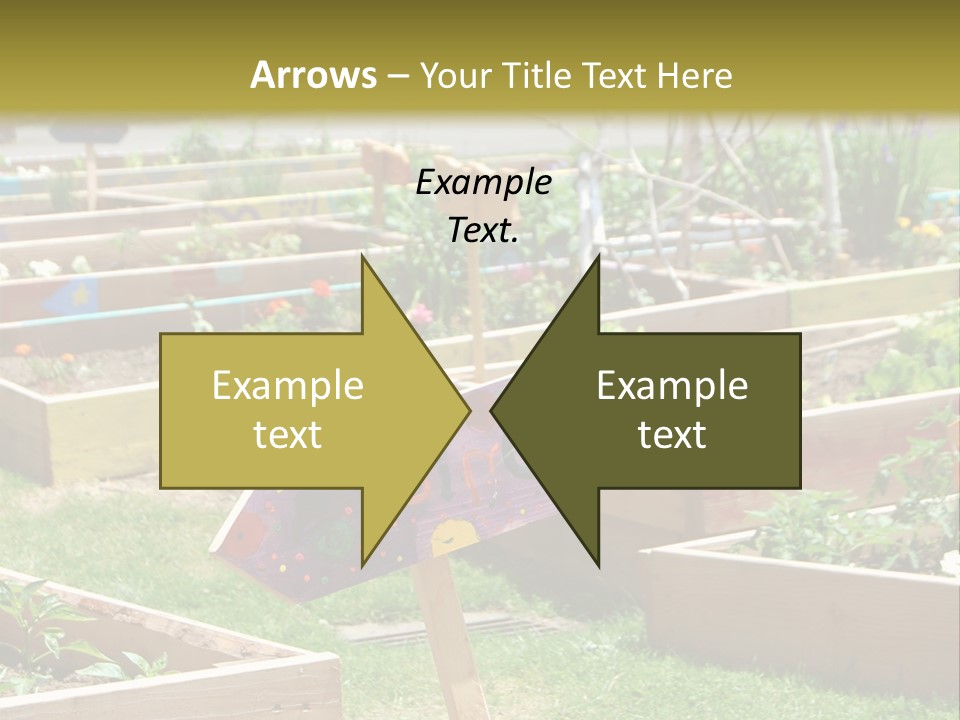A Picture Of A Garden With A Sign In The Middle Of It PowerPoint Template