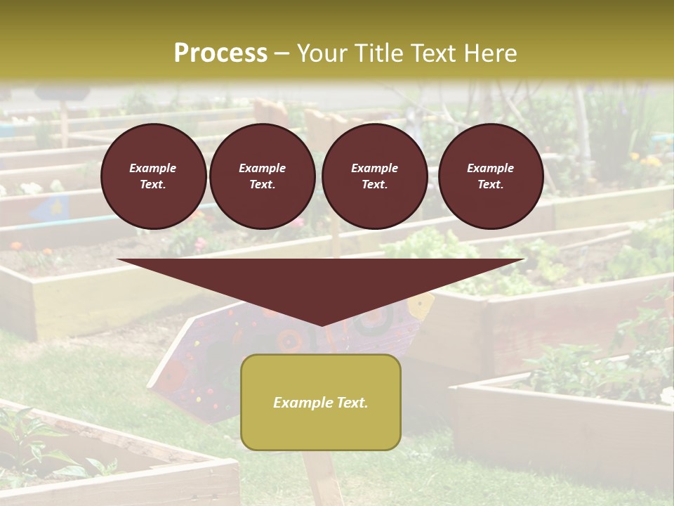 A Picture Of A Garden With A Sign In The Middle Of It PowerPoint Template