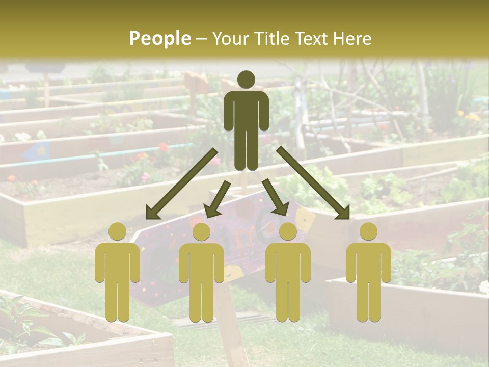 A Picture Of A Garden With A Sign In The Middle Of It PowerPoint Template