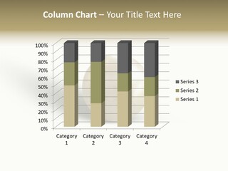 Bride And Groom With Denver Lds Temple PowerPoint Template