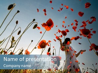 Girl Stands In Poppy Field PowerPoint Template