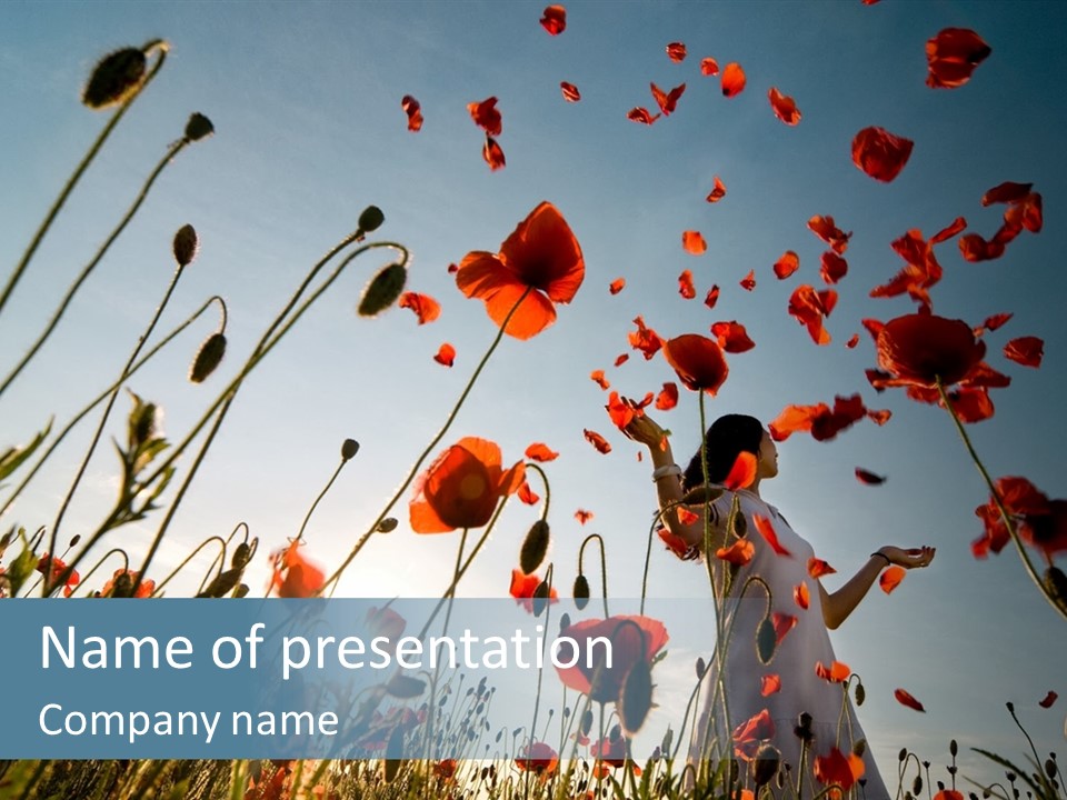 Girl Stands In Poppy Field PowerPoint Template