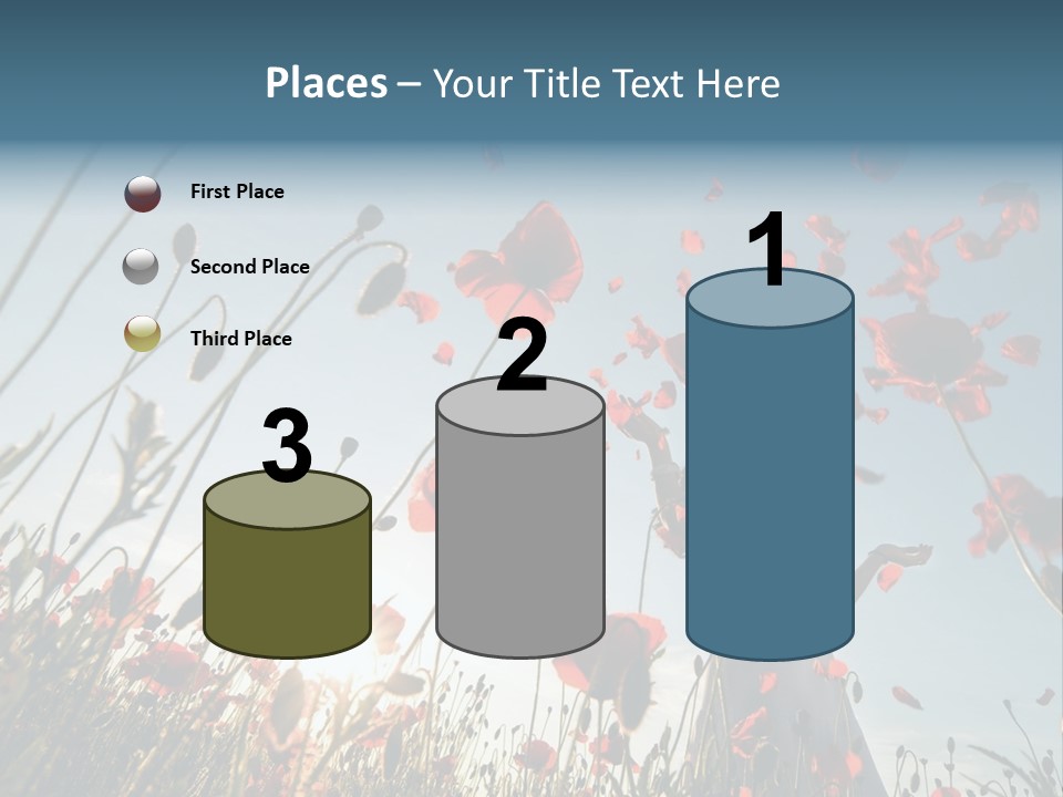 Girl Stands In Poppy Field PowerPoint Template