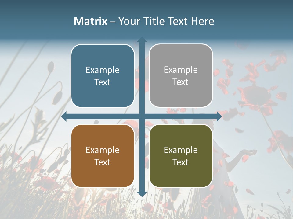 Girl Stands In Poppy Field PowerPoint Template