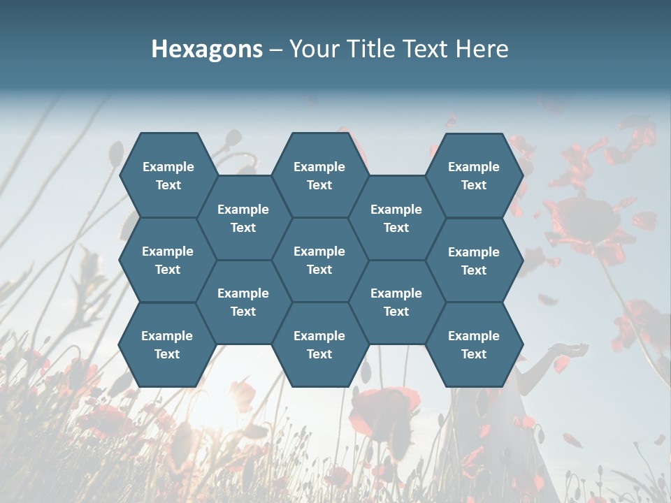 Girl Stands In Poppy Field PowerPoint Template