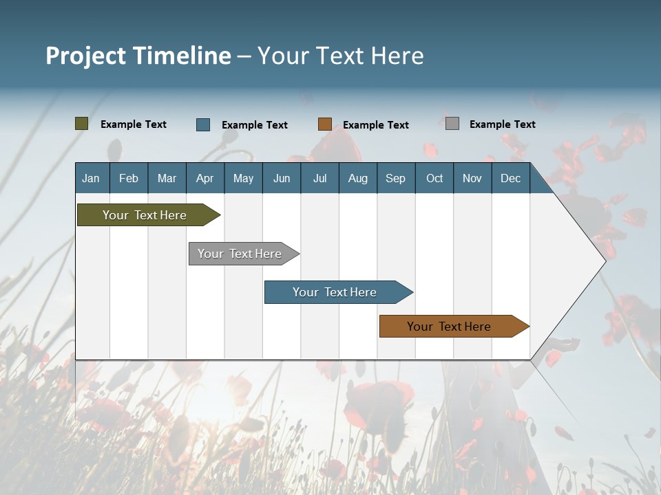 Girl Stands In Poppy Field PowerPoint Template