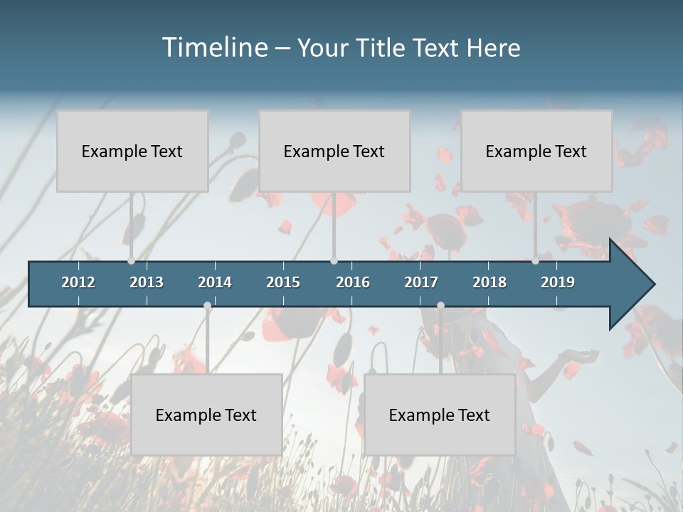 Girl Stands In Poppy Field PowerPoint Template