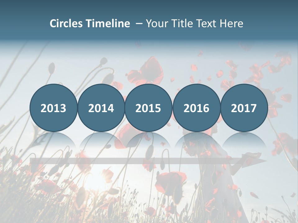 Girl Stands In Poppy Field PowerPoint Template