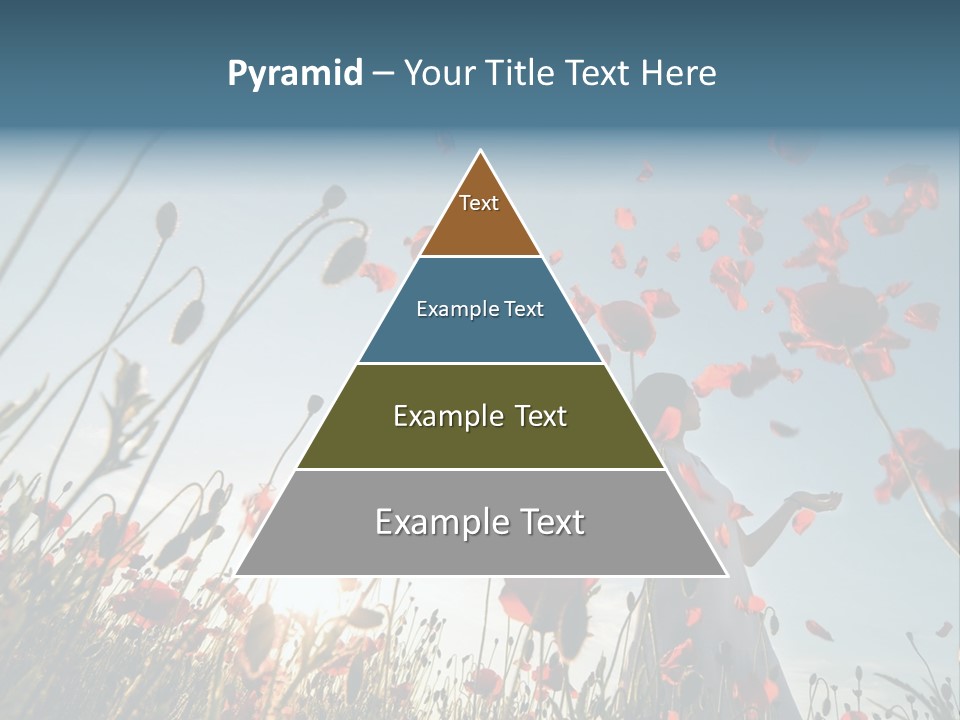 Girl Stands In Poppy Field PowerPoint Template