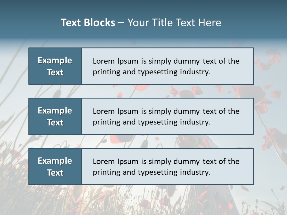Girl Stands In Poppy Field PowerPoint Template