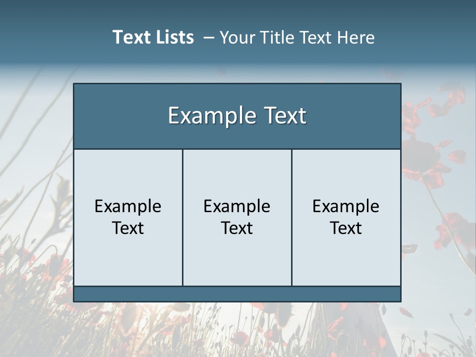 Girl Stands In Poppy Field PowerPoint Template