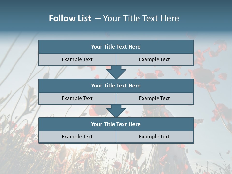 Girl Stands In Poppy Field PowerPoint Template