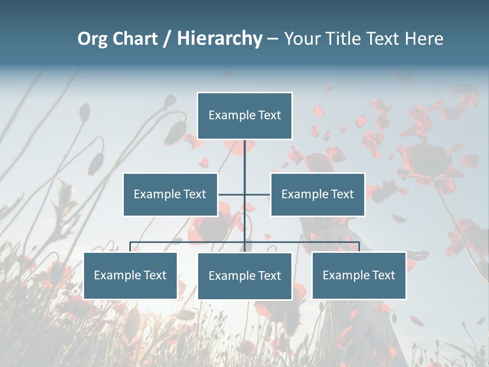 Girl Stands In Poppy Field PowerPoint Template