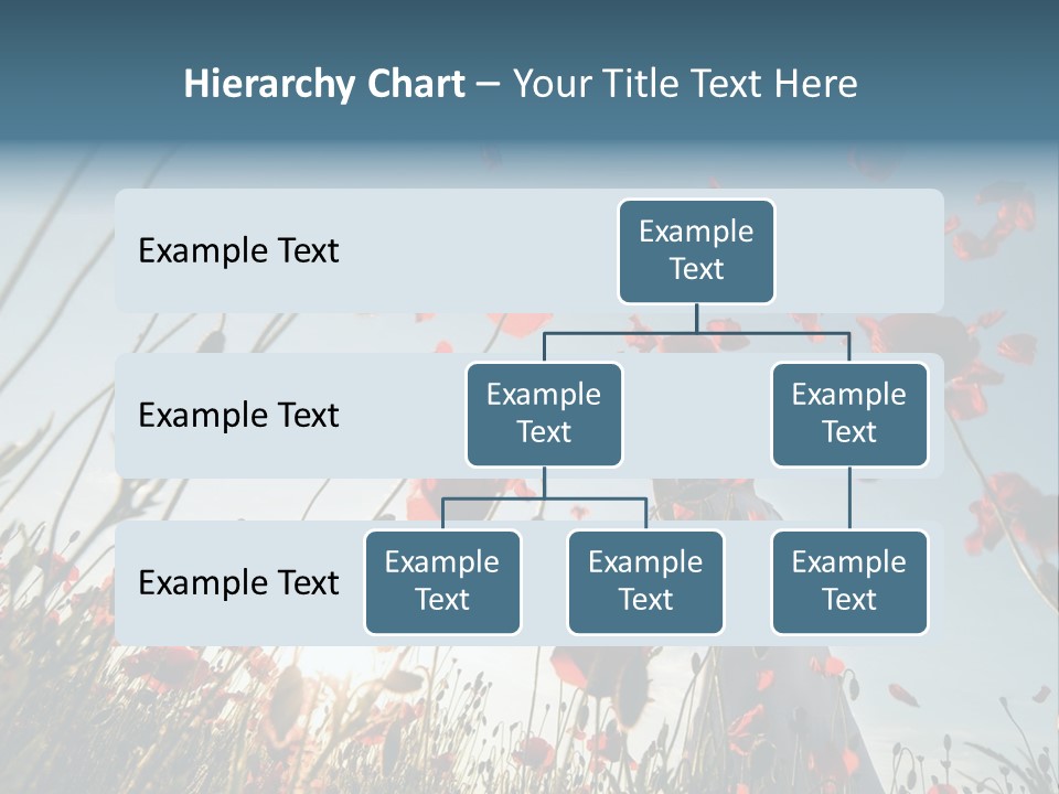 Girl Stands In Poppy Field PowerPoint Template