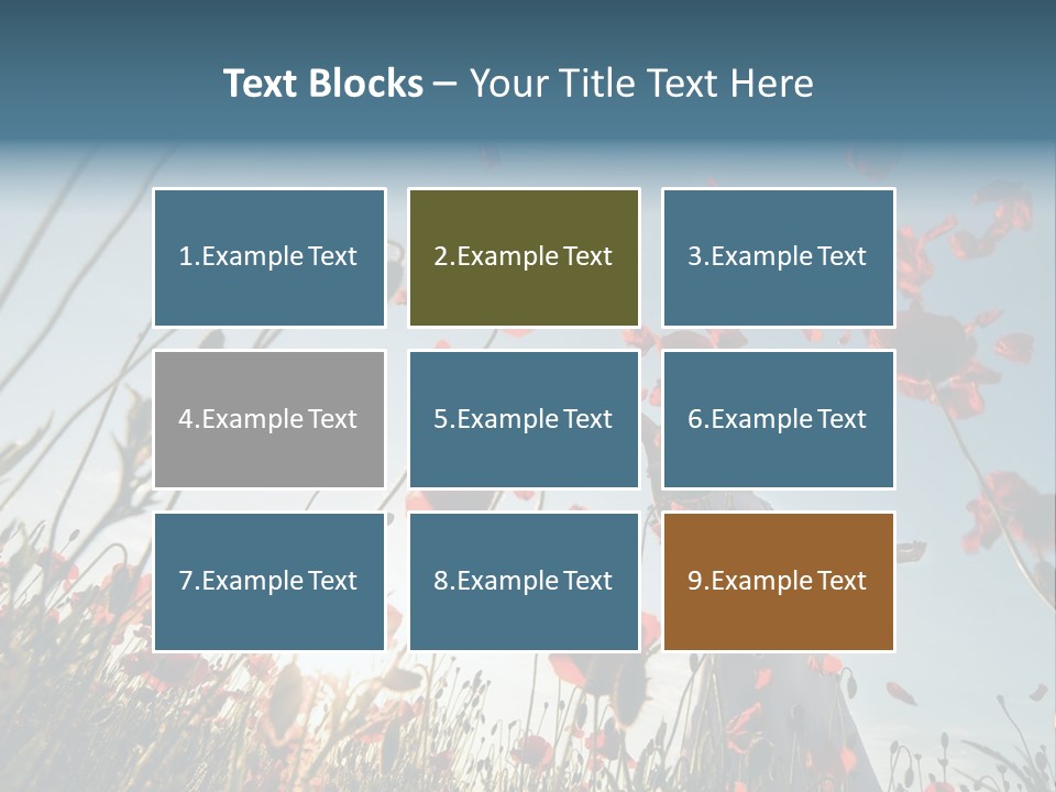 Girl Stands In Poppy Field PowerPoint Template