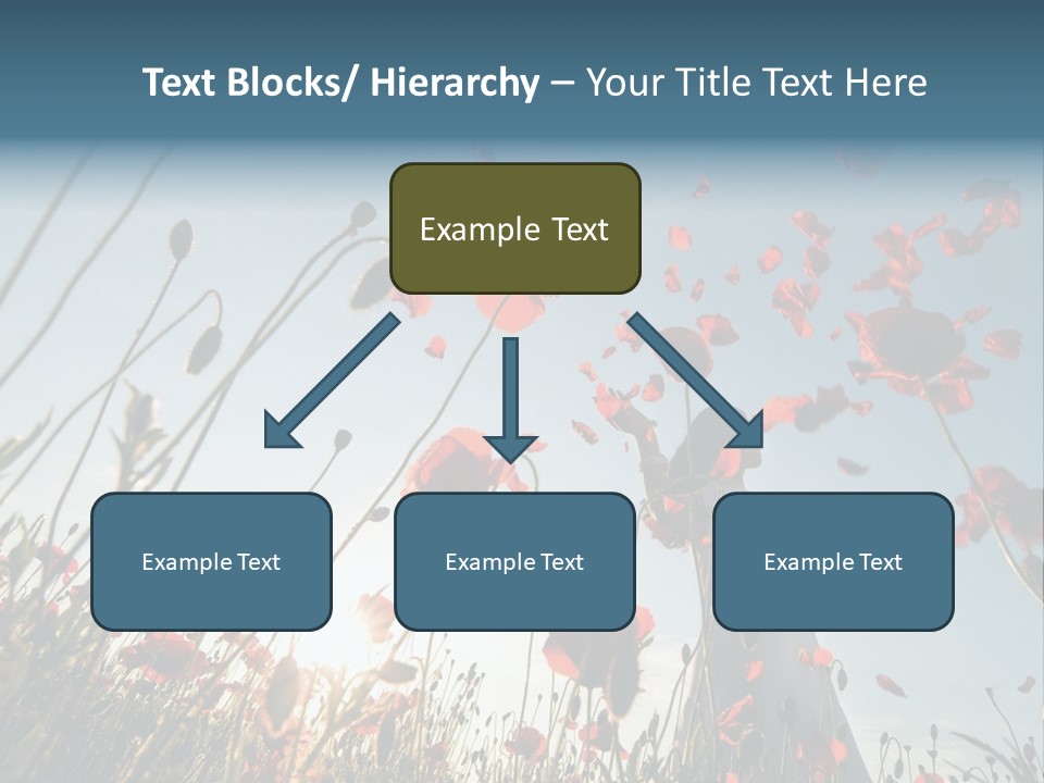 Girl Stands In Poppy Field PowerPoint Template