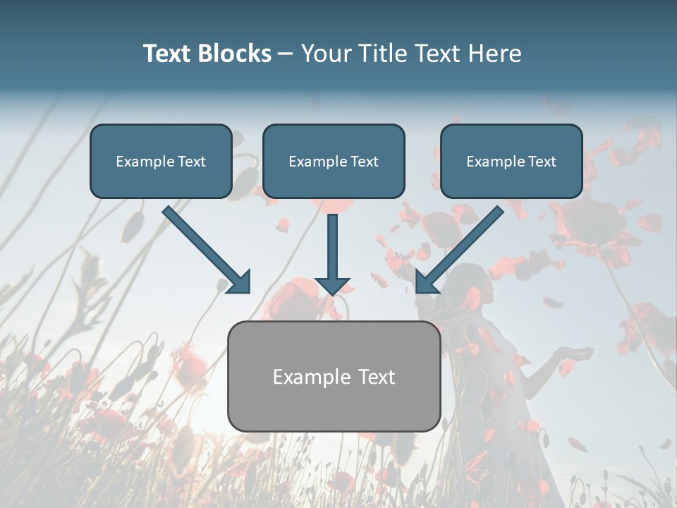 Girl Stands In Poppy Field PowerPoint Template