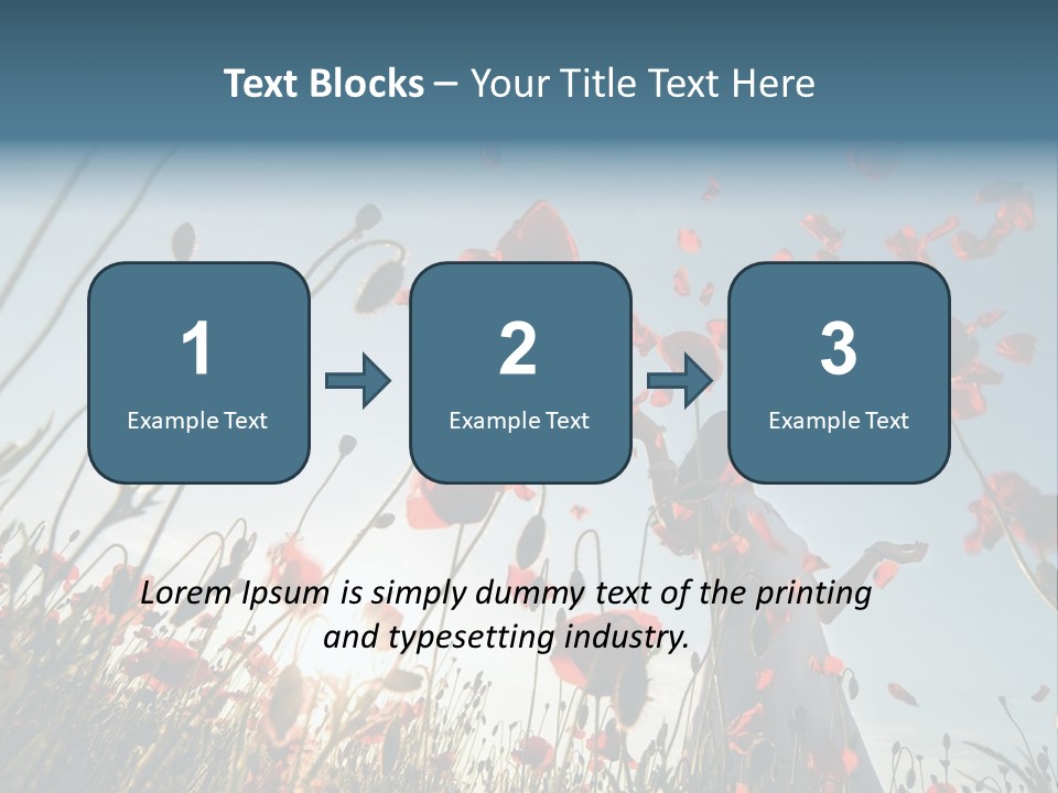 Girl Stands In Poppy Field PowerPoint Template