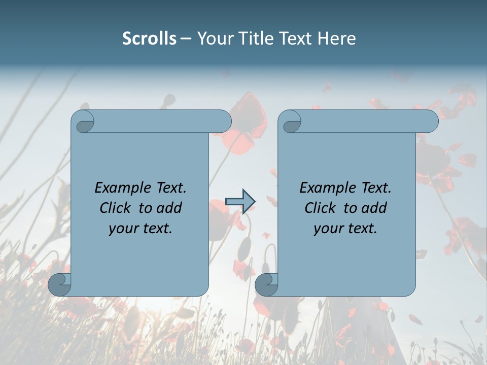 Girl Stands In Poppy Field PowerPoint Template