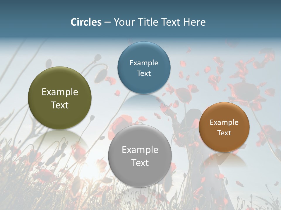 Girl Stands In Poppy Field PowerPoint Template