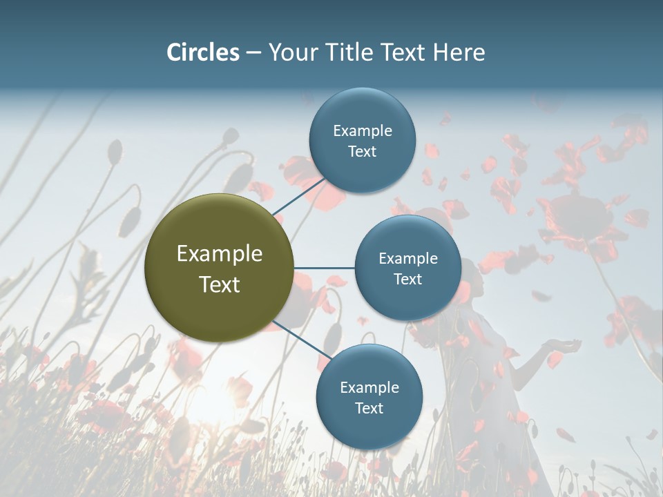 Girl Stands In Poppy Field PowerPoint Template