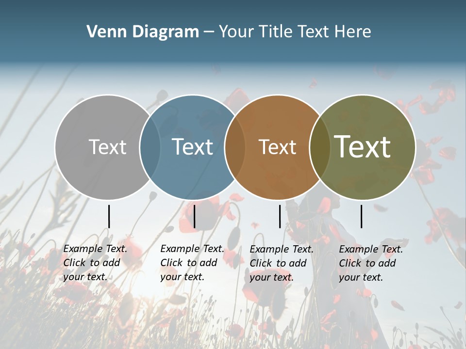 Girl Stands In Poppy Field PowerPoint Template