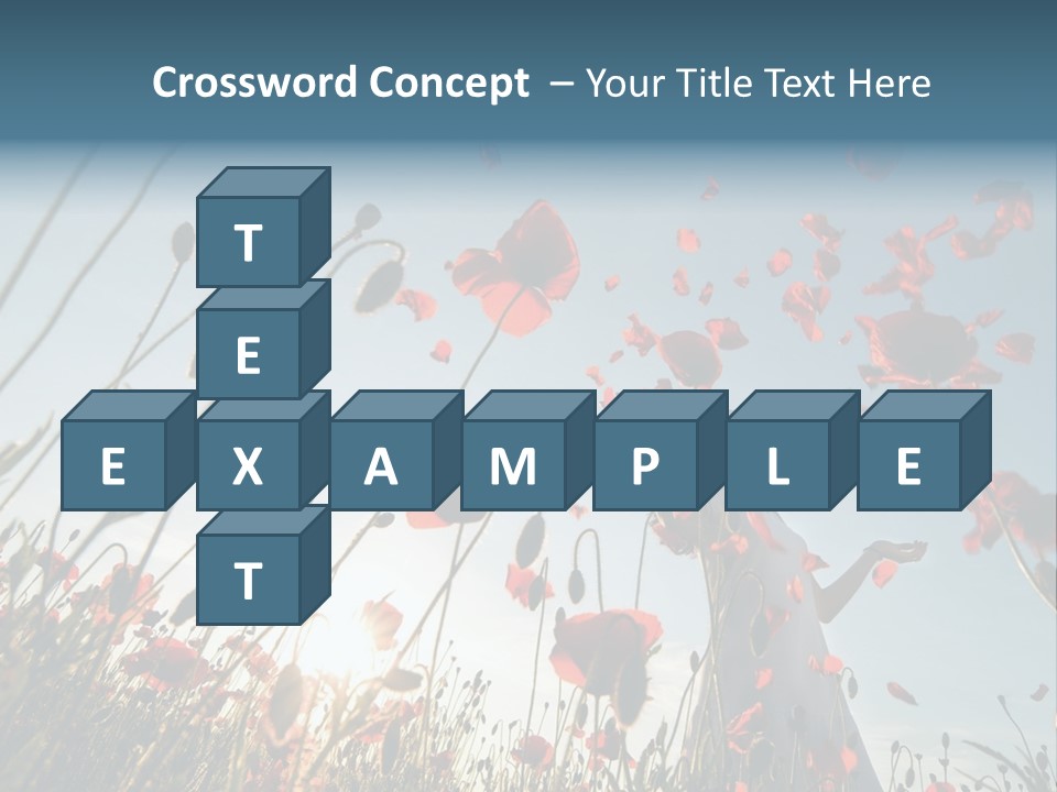 Girl Stands In Poppy Field PowerPoint Template