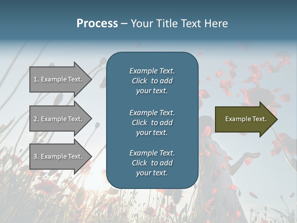 Girl Stands In Poppy Field PowerPoint Template