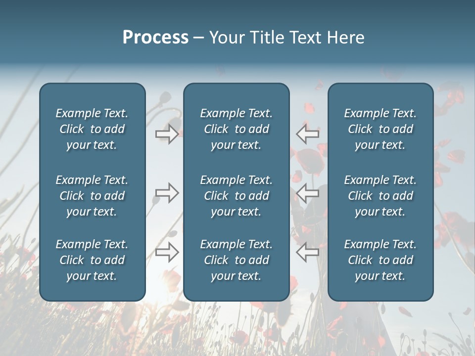 Girl Stands In Poppy Field PowerPoint Template