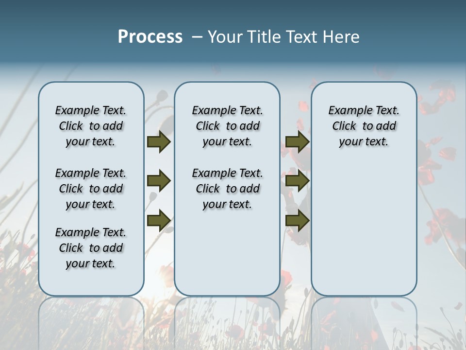 Girl Stands In Poppy Field PowerPoint Template