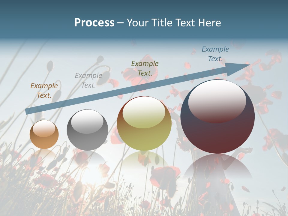 Girl Stands In Poppy Field PowerPoint Template