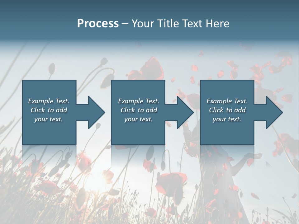 Girl Stands In Poppy Field PowerPoint Template