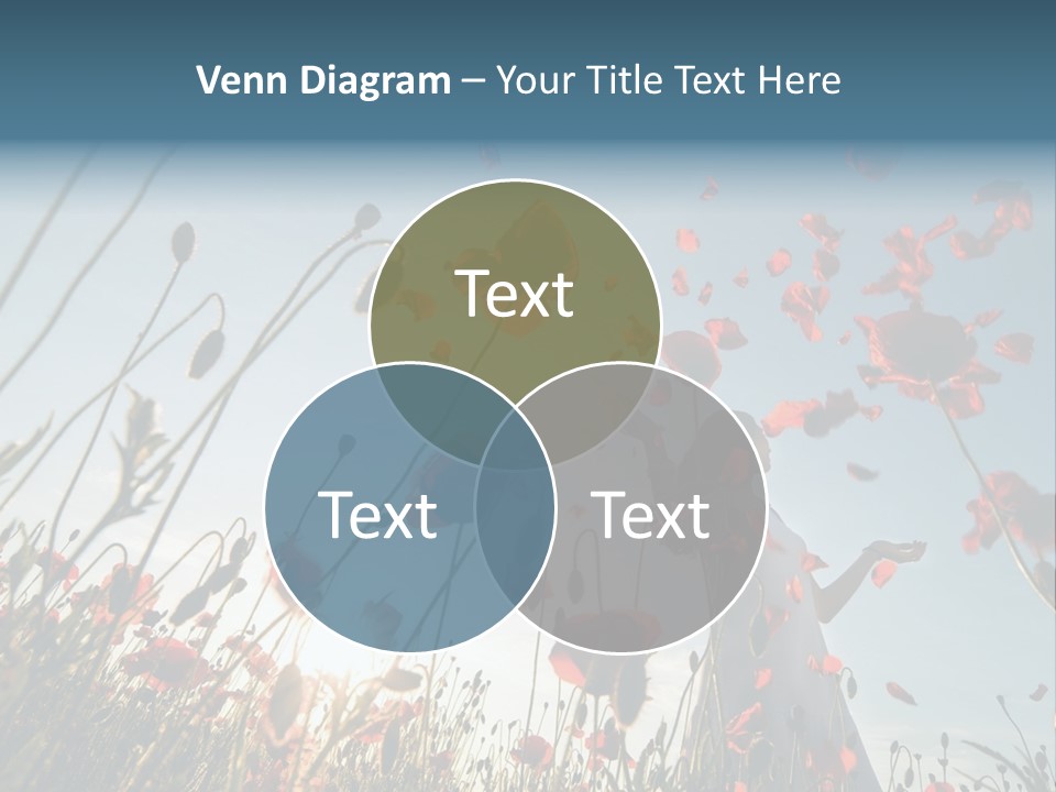 Girl Stands In Poppy Field PowerPoint Template