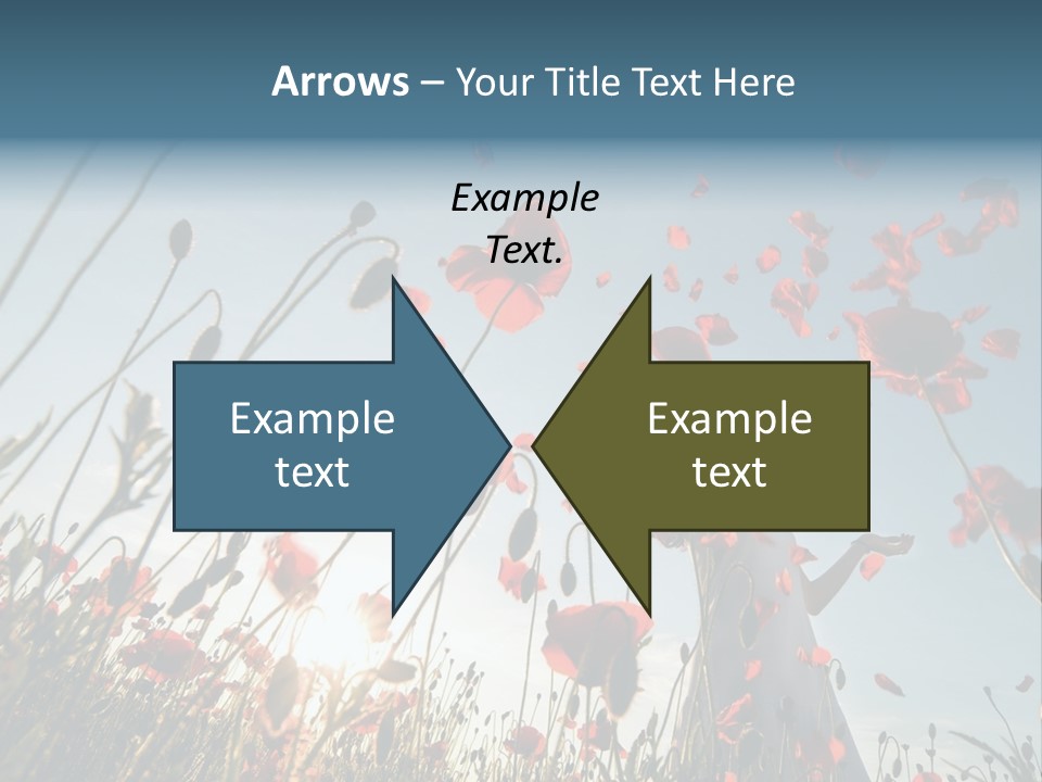 Girl Stands In Poppy Field PowerPoint Template