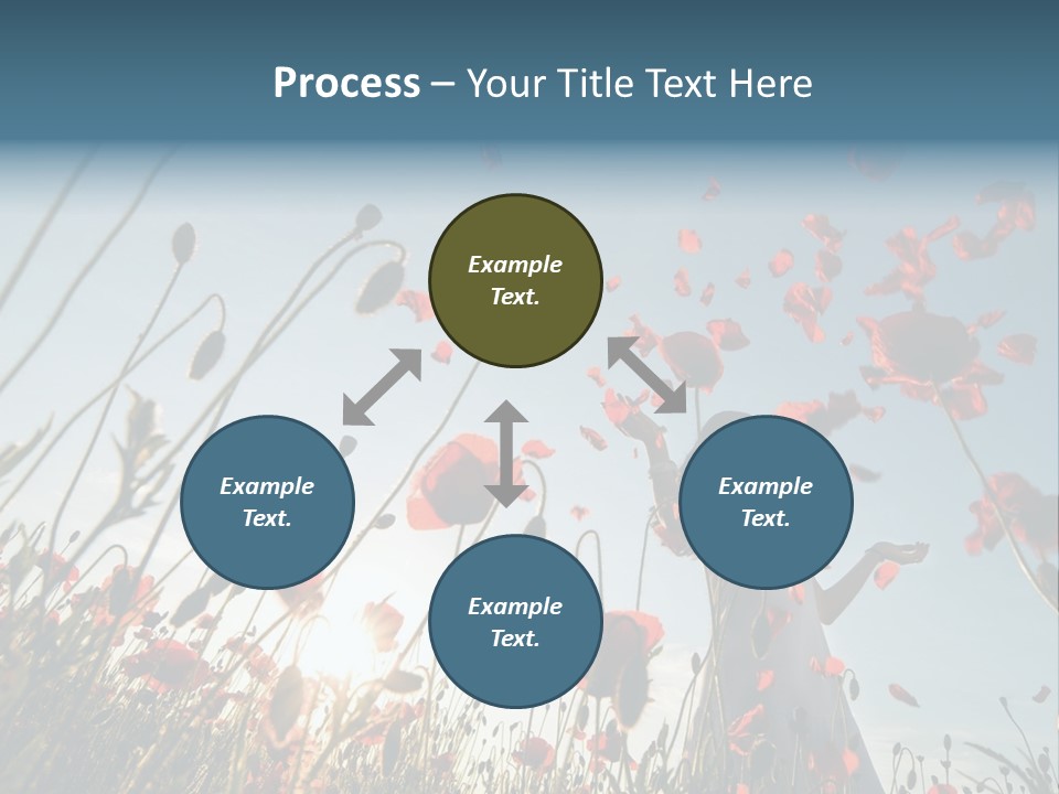 Girl Stands In Poppy Field PowerPoint Template