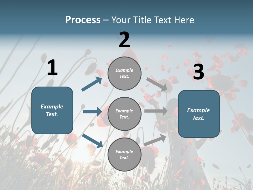 Girl Stands In Poppy Field PowerPoint Template